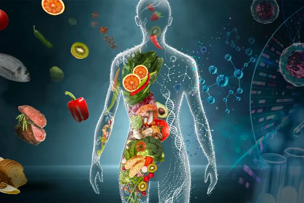Scientific illustration showing how nutrition and dietary supplements support the human body based on research
